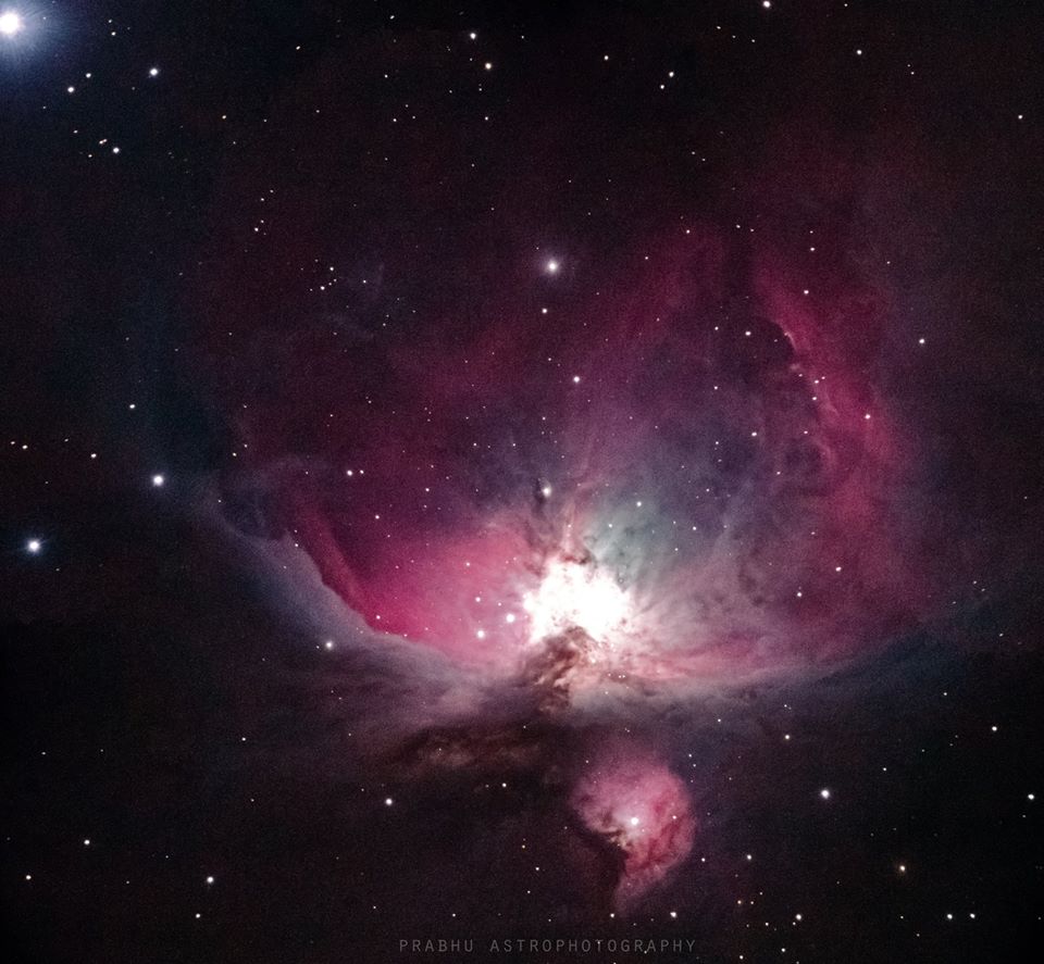 Orion Nebula