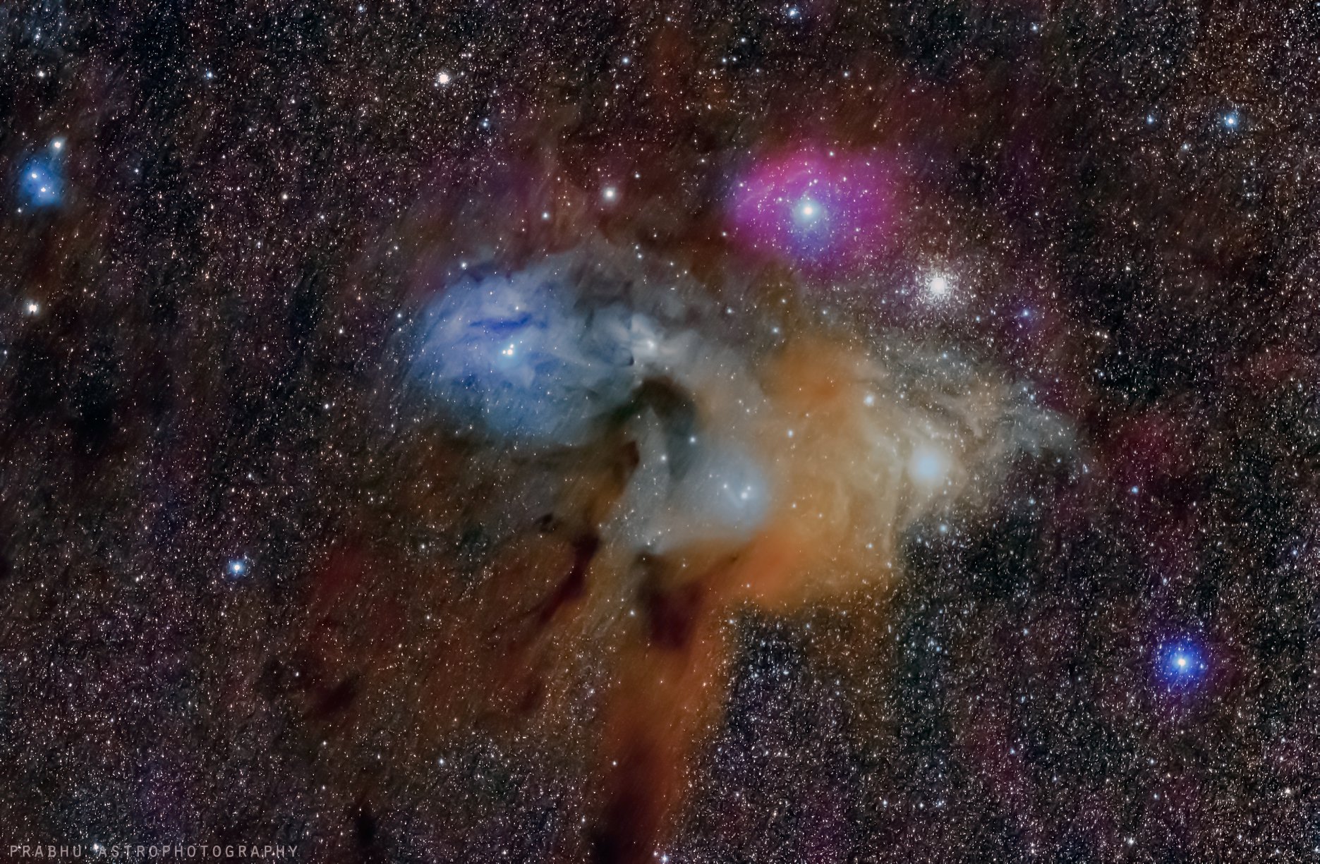 Rho Ophiuchi Star System